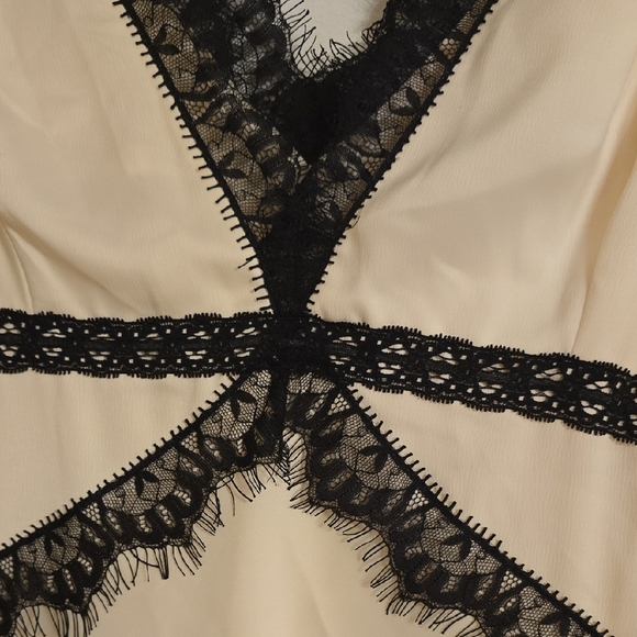 Anthropologie Cream and Black Sleeveless Midi Dress - Picture 5 of 13